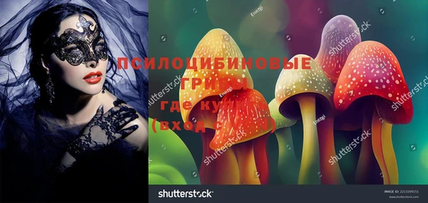 СК Алексеевка